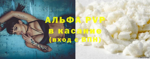 хмурый Аркадак