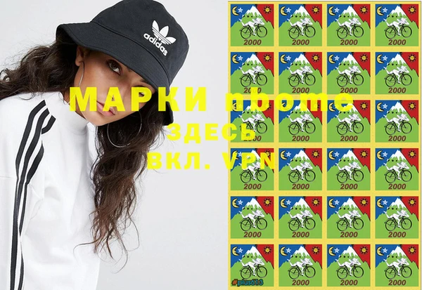 хмурый Аркадак