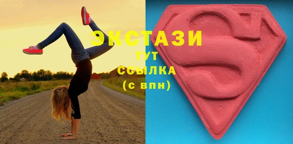 хмурый Аркадак