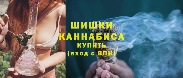 хмурый Аркадак