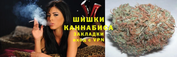 хмурый Аркадак
