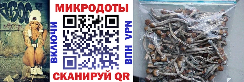 Галлюциногенные грибы мицелий  купить наркоту  кракен вход  Усть-Лабинск 