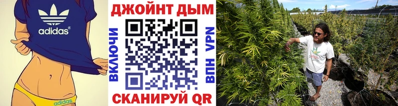 Бошки Шишки Amnesia  где продают наркотики  Усть-Лабинск 